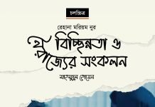 রেহানা মরিয়ম নুর: বিচ্ছিন্নতা ও নৈরাজ্যের সংকলন